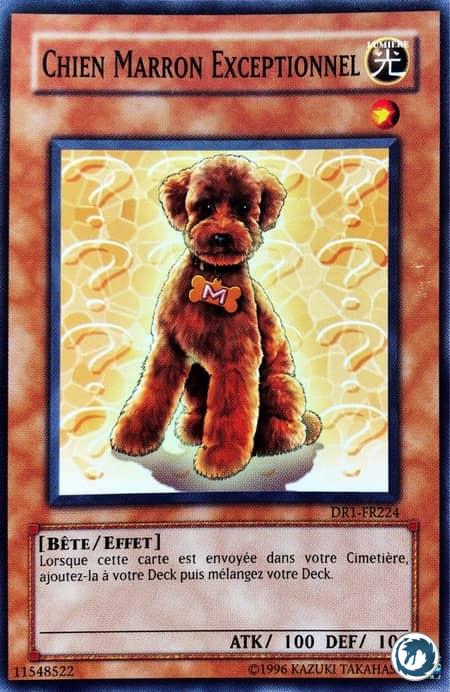 Chien Marron Exceptionnel (DR1-FR224) - Outstanding Dog Marron (DR1-EN224) - Carte Yu-Gi-Oh