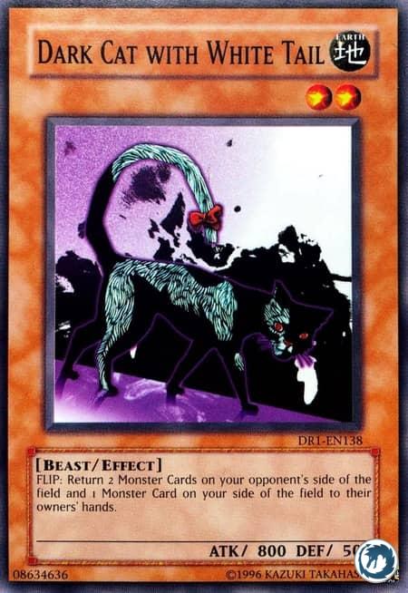 Chat Noir à Queue Blanche (DR1-FR138) - Dark Cat With White Tail (DR1-EN138) - Carte Yu-Gi-Oh