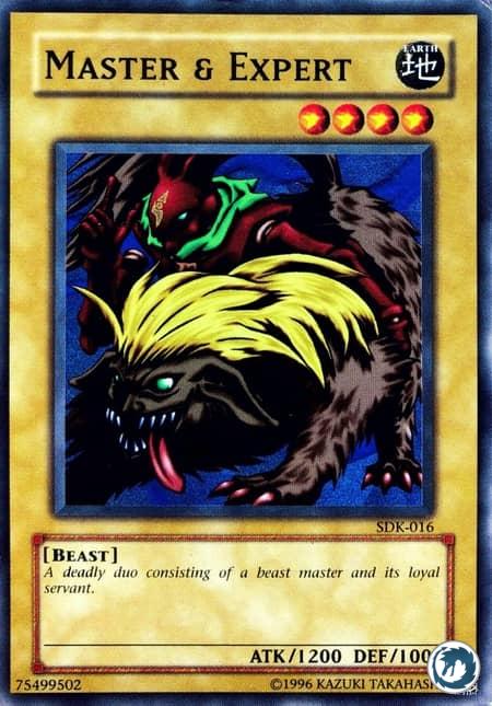 Maître et Expert (DDK-F015) - Master & Expert (SDK-016) - Carte Yu-Gi-Oh