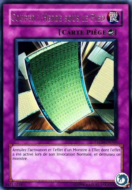 Couper L'Herbe Sous Le Pied (STON-FR060) - Pulling the Rug (STON-EN060) - Carte Yu-Gi-Oh