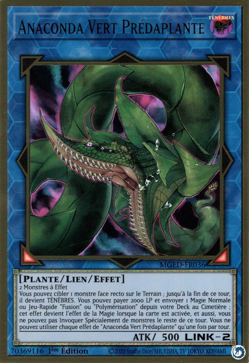 Anaconda Vert Prédaplante