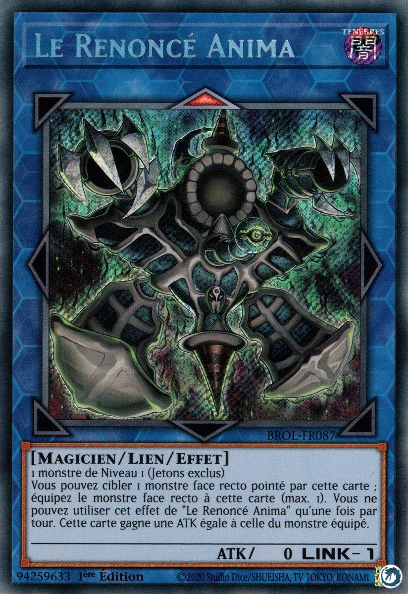 Le Renoncé Anima