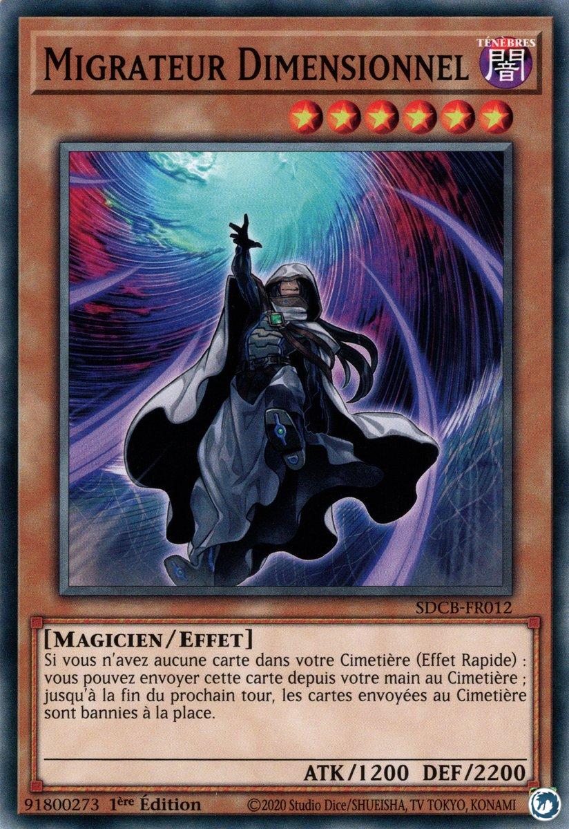 Migrateur Dimensionnel