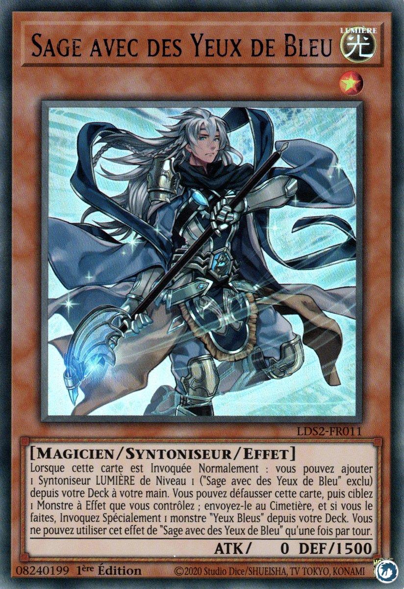 Sage Avec Des Yeux De Bleus