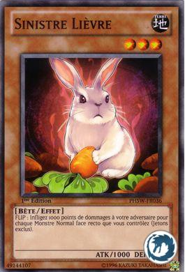 Sinistre Lièvre