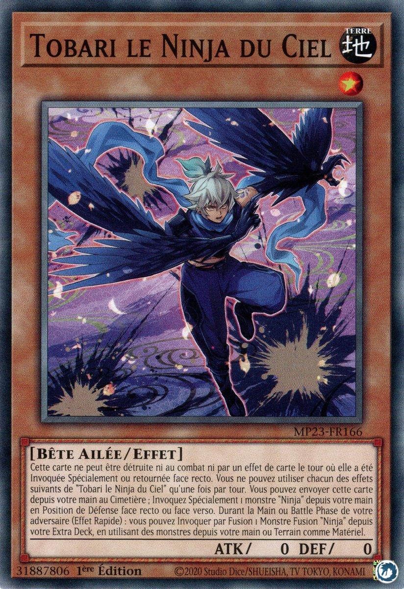 Tobari le Ninja du Ciel